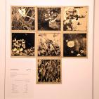 معرض فني يجمع فناني فلسطين في الوطن والشتات