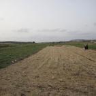 افتتاح مهرجان الفقوس في بلدة دير بلوط