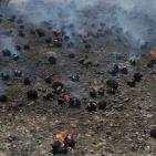 هندسة المتفجرات في الشرطة الفلسطينية تتلف كمية من الألعاب النارية