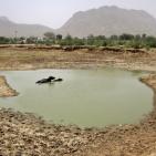 موجة حرارة قاتلة في الهند