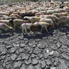 موجة حرارة قاتلة في الهند