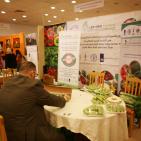 مهرجان التسوق الصيفي 