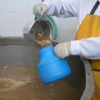 لماذا لقبت الخليل بـ