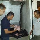 بالصور: الضابطة الجمركية تتلف 200 كغم من اللحوم الفاسدة في طولكرم