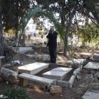 أهالي الشهداء وموتى المسلمين يزورون المقابر في العيد