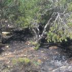 الدفاع المدني يسيطر على حريق في ترقوميا