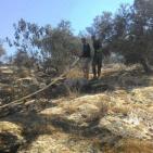 الدفاع المدني يسيطر على حريق في ترقوميا