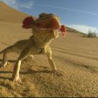 جبال القوقاز الحد العظيم