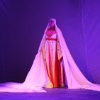 بالصور: اليوم الأول من مهرجان ليالي بيرزيت 2015