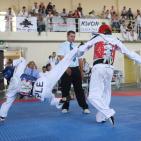 بطولة كأس السفير الكوري في رام الله