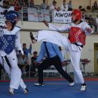 بطولة كأس السفير الكوري في رام الله