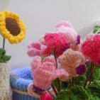 بالصور... افتتاح معرض الدمى بالخليل