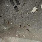 جنين تحت النار والقذائف  ومواجهات في مخيمها  مع الاحتلال