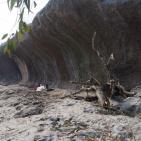 البدء بالمرحلة الثالثة من مشروع مسبح ومنتزه بلدية علار الوطني في محافظة  طولكرم