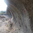 البدء بالمرحلة الثالثة من مشروع مسبح ومنتزه بلدية علار الوطني في محافظة  طولكرم