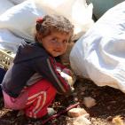 الاحتلال  يشرد  ثلاث اسربهدم مساكن وحظائر لعائلات بدوية شرق رام الله