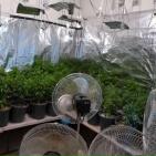 بالصور: الشرطة تضبط مستنبتا كبيرا للمواد المخدرة بتقنيات عالية في أريحا