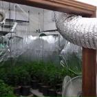 بالصور: الشرطة تضبط مستنبتا كبيرا للمواد المخدرة بتقنيات عالية في أريحا