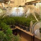 بالصور: الشرطة تضبط مستنبتا كبيرا للمواد المخدرة بتقنيات عالية في أريحا