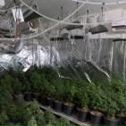 بالصور: الشرطة تضبط مستنبتا كبيرا للمواد المخدرة بتقنيات عالية في أريحا