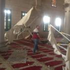 المحتلون يحمون اقتحام الارهابيين المتطرفين للاقصى اليوم الاحد