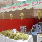 مهرجان العنب في الخليل
