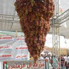 مهرجان العنب في الخليل