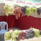 مهرجان العنب في الخليل