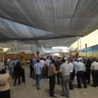 مهرجان العنب في الخليل