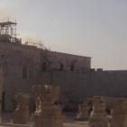 الاقصى صباح  اليوم 15/9/2015