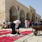 المقدسيون ينظفون اوساخ المحتل ودماره وتخريبه في الاقصى