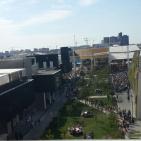 اليوم الوطني الفلسطيني في ايطاليا