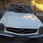 المركبات القديمة في سوق الحرجة في رام  الله