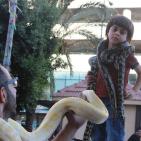 بالصور تجهيزات وأجواء العيد بمدينة نابلس اليوم