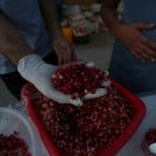 مهرجان الرمان الثالث في قرية عين عريك قرب رام الله