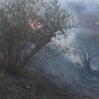 بالصور: الدفاع المدني يسطير على حرائق تسبب بها المستوطنون في نابلس