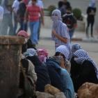 إصابات خلال المواجهات قرب مستوطنة 