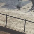 استشهاد شاب برصاص الاحتلال أمام باب العامود بالقدس