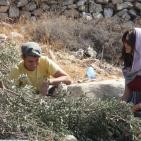 سليم ابو غزالة: توقعات بتراجع انتاج زيت الزيتون هذا العام