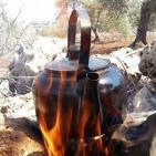 سليم ابو غزالة: توقعات بتراجع انتاج زيت الزيتون هذا العام