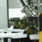 سليم ابو غزالة: توقعات بتراجع انتاج زيت الزيتون هذا العام