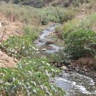 وادي المطوي كابوس مرعب يؤرق محافظة سلفيت