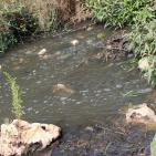 وادي المطوي كابوس مرعب يؤرق محافظة سلفيت