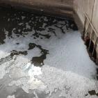 وادي المطوي كابوس مرعب يؤرق محافظة سلفيت