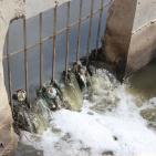 وادي المطوي كابوس مرعب يؤرق محافظة سلفيت