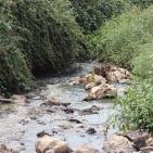 وادي المطوي كابوس مرعب يؤرق محافظة سلفيت