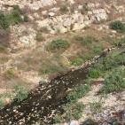 وادي المطوي كابوس مرعب يؤرق محافظة سلفيت