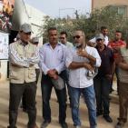 متطوعون يشاركون أهالي دوما بنابلس قطاف الزيتون