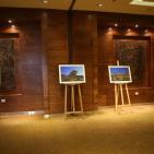 المصورة رومية تفتتح معرضا تحت عنوان 