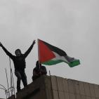 المظاهرة السلمية التي قمعها جيش الاحتلال على مدخل شارع الشهداء بالخليل